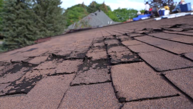 Best Storm Damage Roof Repair  in Blanchester, OH